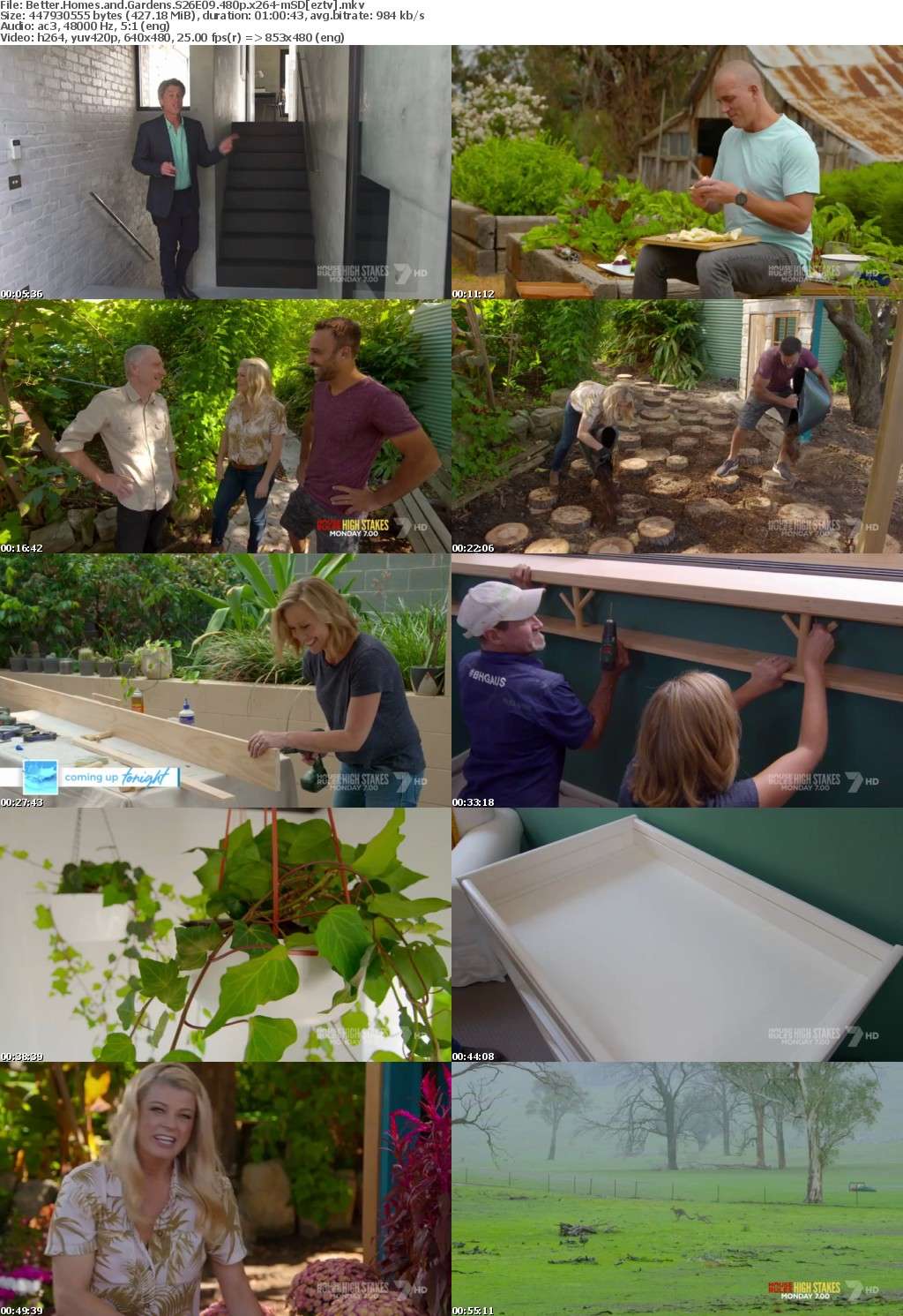 Better Homes and Gardens S26E09 480p x264-mSD Better Homes and Gardens S26E09 480p x264-mSD