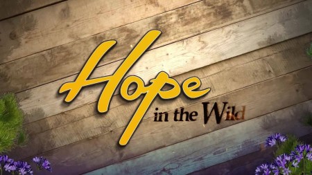 Hope in the Wild S02E24 Raccoon Adoption Agency WEB x264-LiGATE