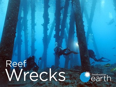 Reef Wrecks S01E02 Florida Keys Shipwreck Trail WEB h264-CAFFEiNE