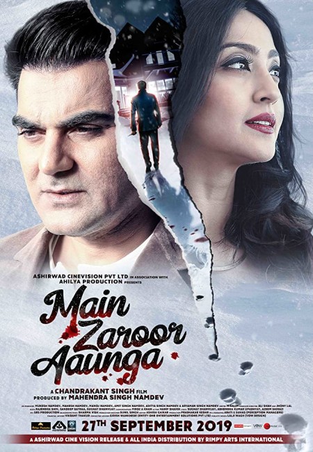 Main Zaroor Aunga 2019 Hindi 720p WEBRip x264 AAC - LOKiHD - Telly