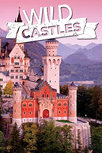 Wild Castles S01E01 Heidelberg-Secrets in Stone XviD-AFG
