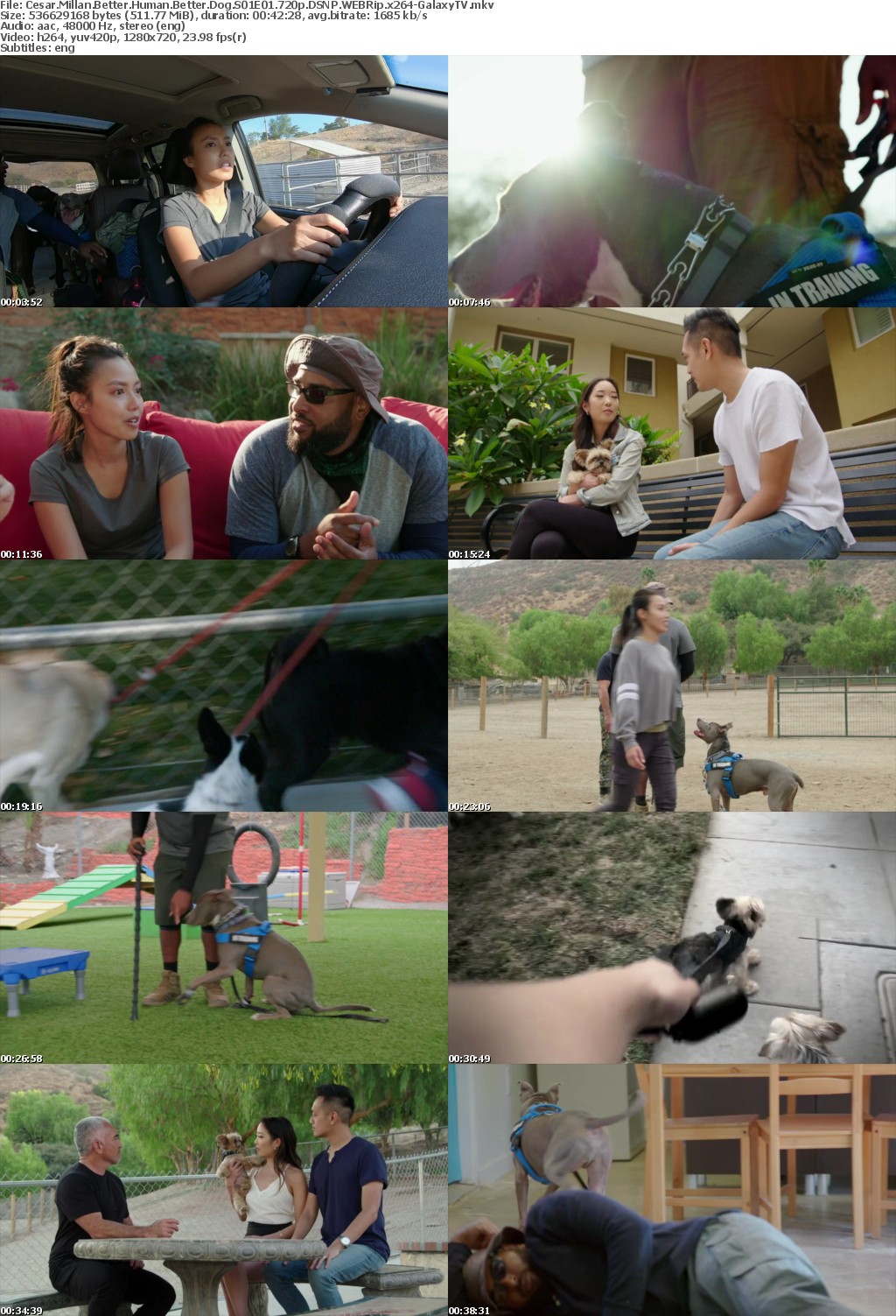 Cesar Millan Better Human Better Dog S01 COMPLETE 720p DSNP WEBRip x264-GalaxyTV