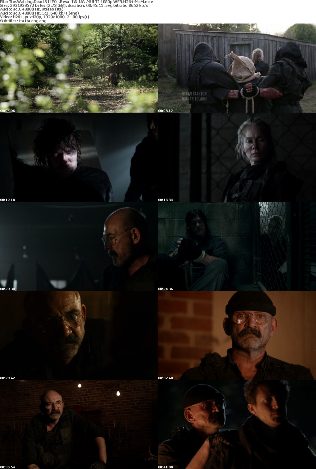 The Walking Dead S11E04 Resa iTALIAN MULTI 1080p WEB H264-MeM mkv