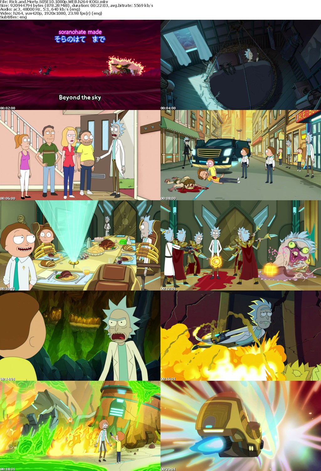 Rick and Morty S05E10 1080p WEB h264-KOGi