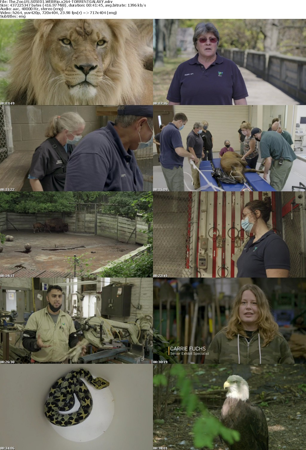 The Zoo US S05E01 WEBRip x264-GALAXY