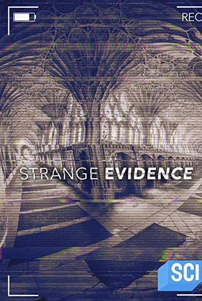 Strange Evidence S06E06 WEB x264-GALAXY