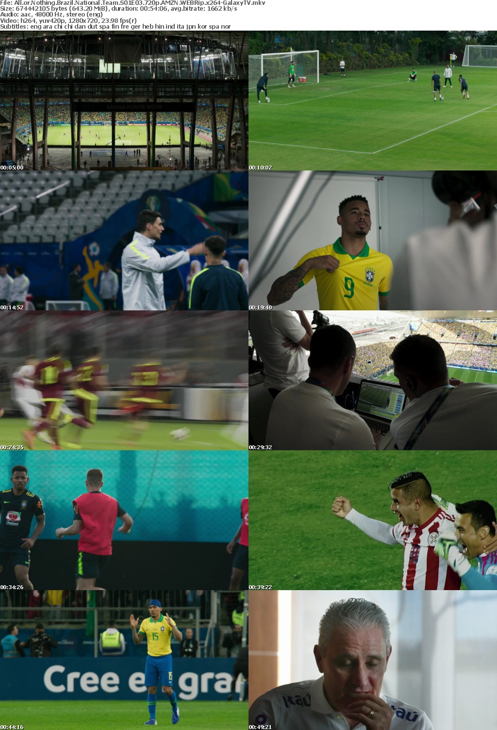 All or Nothing Brazil National Team S01 COMPLETE 720p AMZN WEBRip x264-GalaxyTV