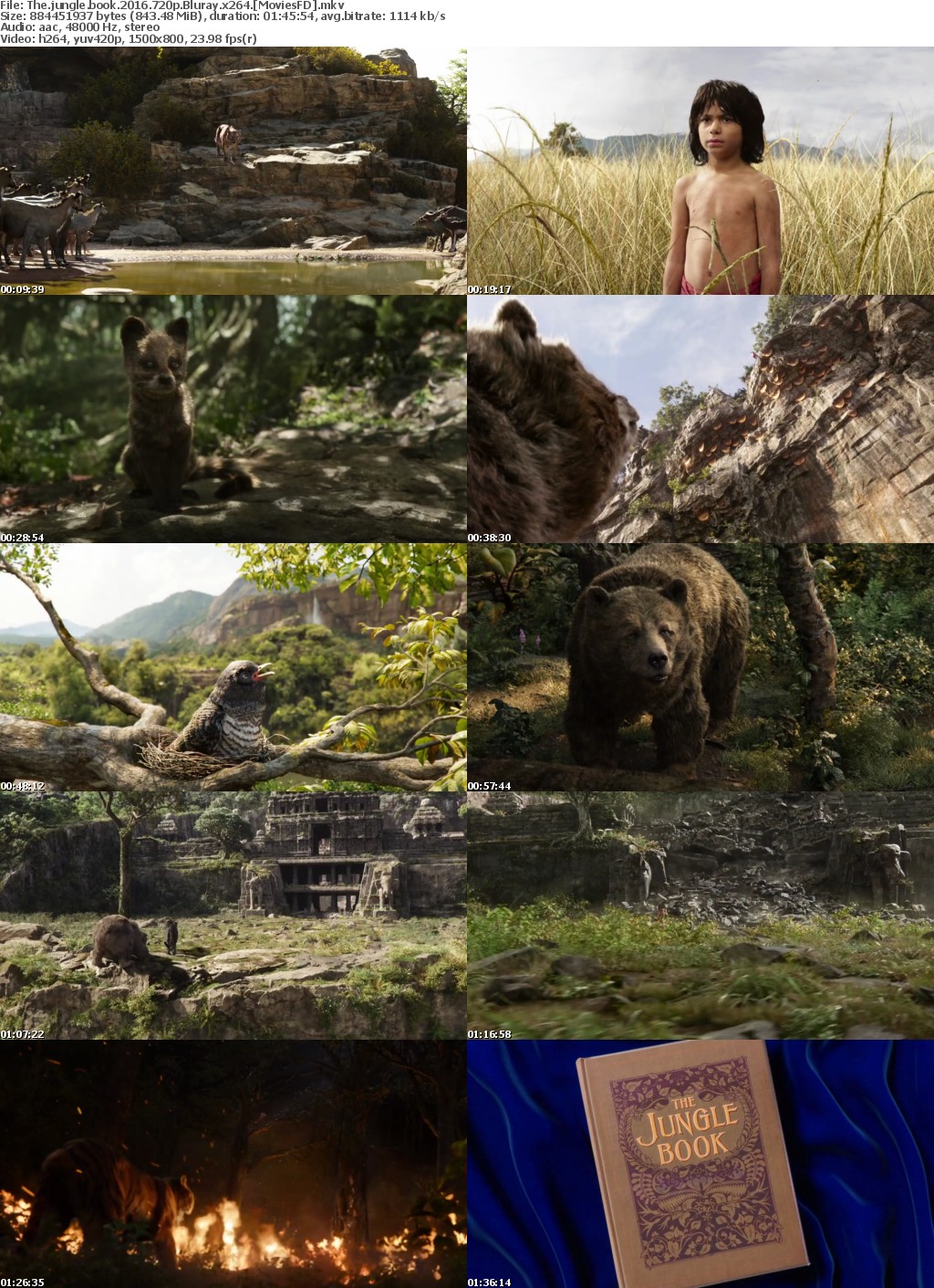 The Jungle Book (2016) 720p BluRay x264 - MoviesFD