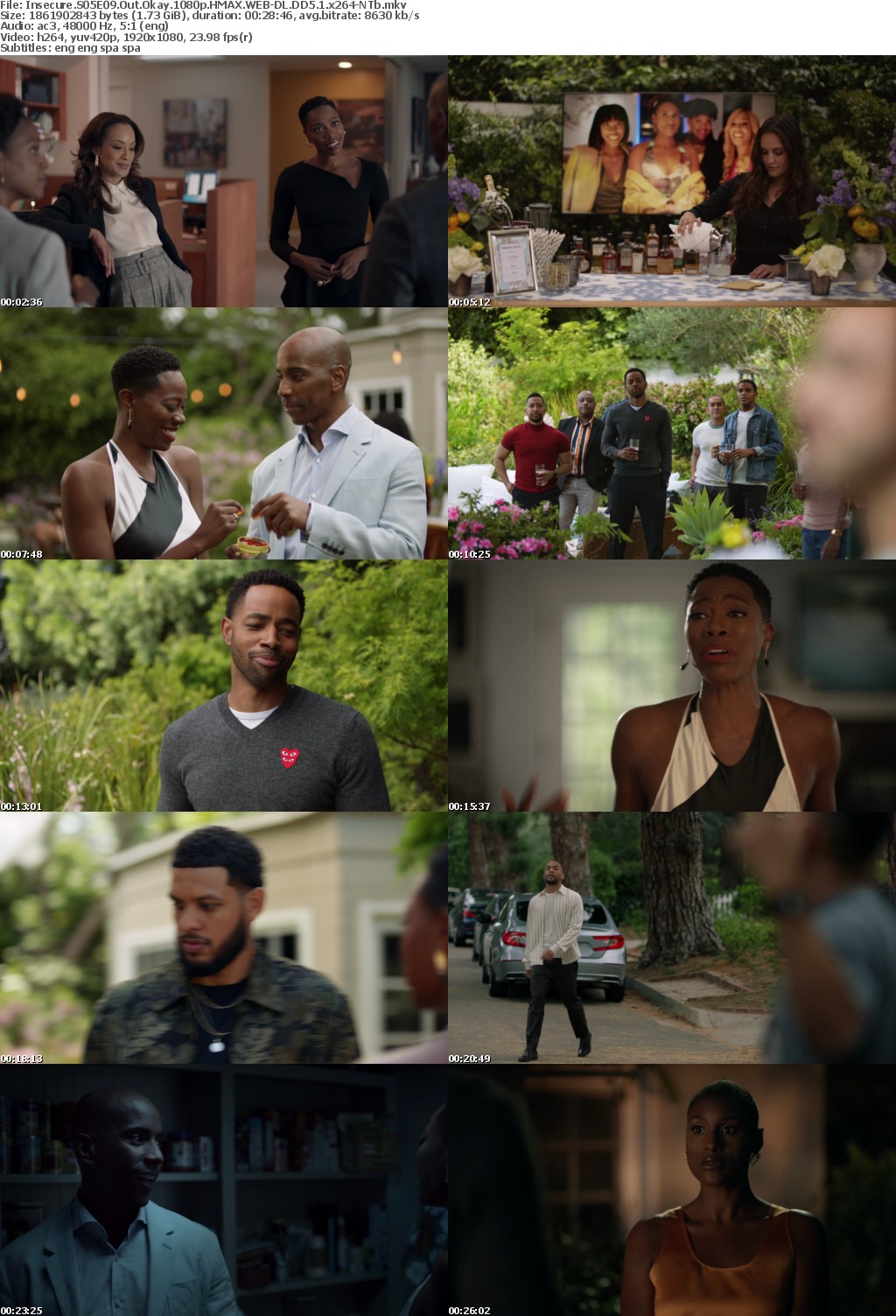 Insecure S05E09 Out Okay 1080p HMAX WEBRip DD5 1 x264-NTb