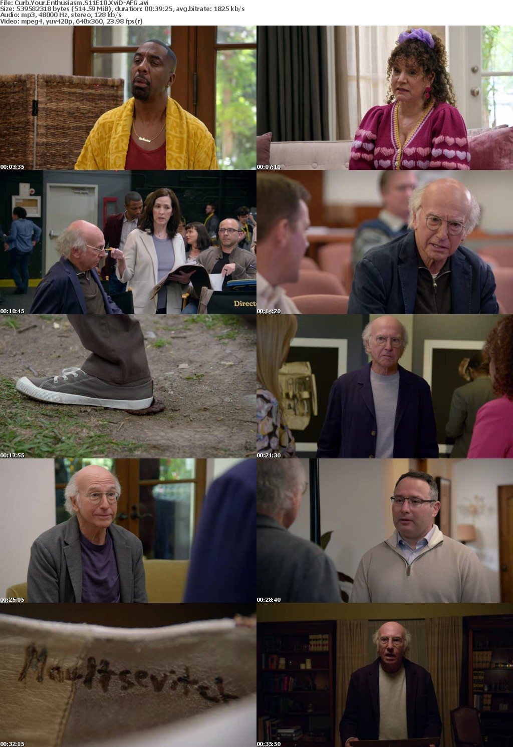 Curb Your Enthusiasm S11E10 XviD-AFG