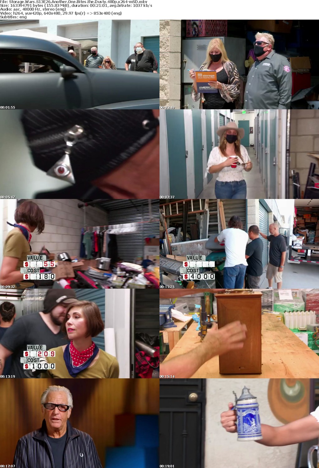 Storage Wars S13E26 Another One Bites the Dusty 480p x264-mSD