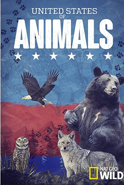 United States Of Animals S01 COMPLETE 720p DSNP WEBRip x264-GalaxyTV