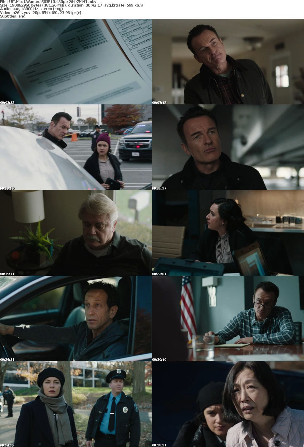 FBI Most Wanted S03E10 480p x264-ZMNT
