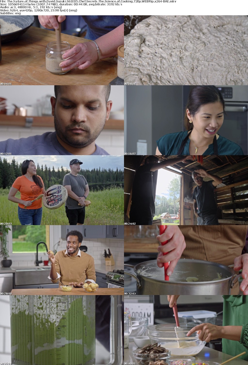 The Nature of Things with David Suzuki S61E05 Chef Secrets The Science of Cooking 720p WEBRip x264-BAE