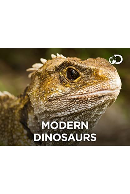 Modern Dinosaurs S01 COMPLETE 720p DSCP WEBRip x264-GalaxyTV