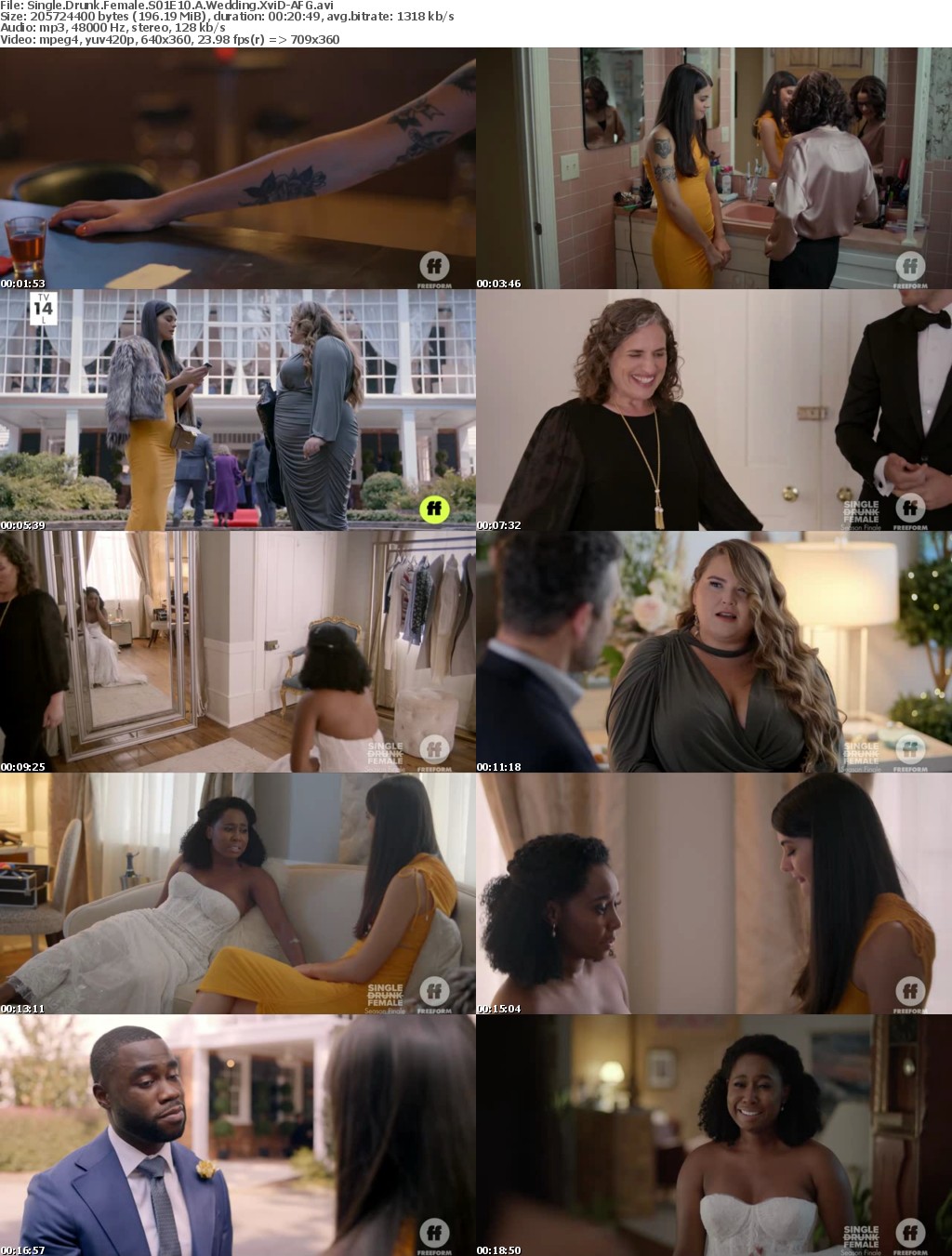 Single Drunk Female S01E10 A Wedding XviD-AFG
