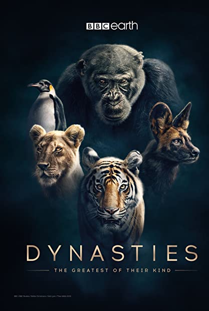 Dynasties UK S02E03 Cheetah 720p iP WEBRip AAC2 0 H264-WELP