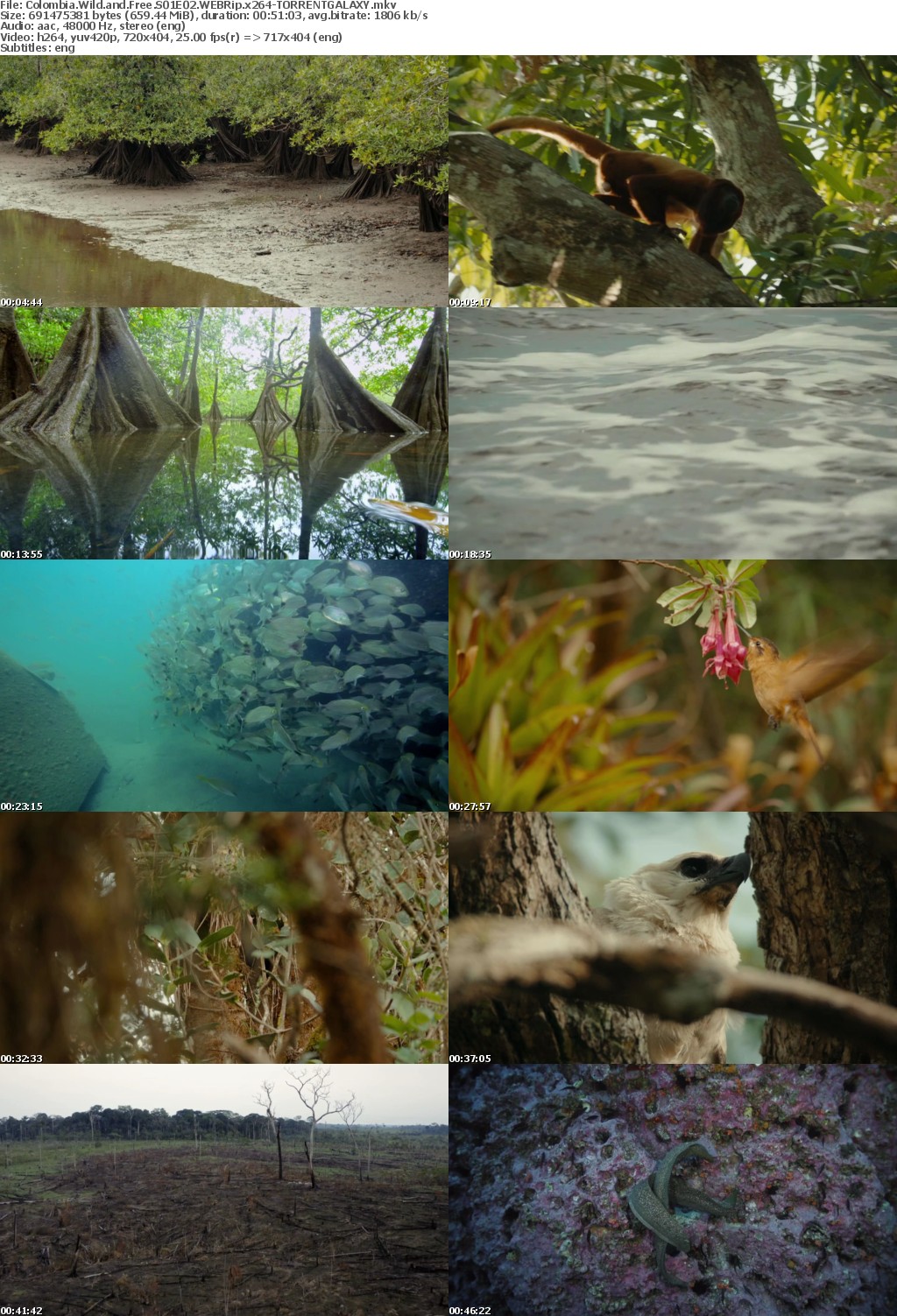Colombia Wild and Free S01E02 WEBRip x264-GALAXY