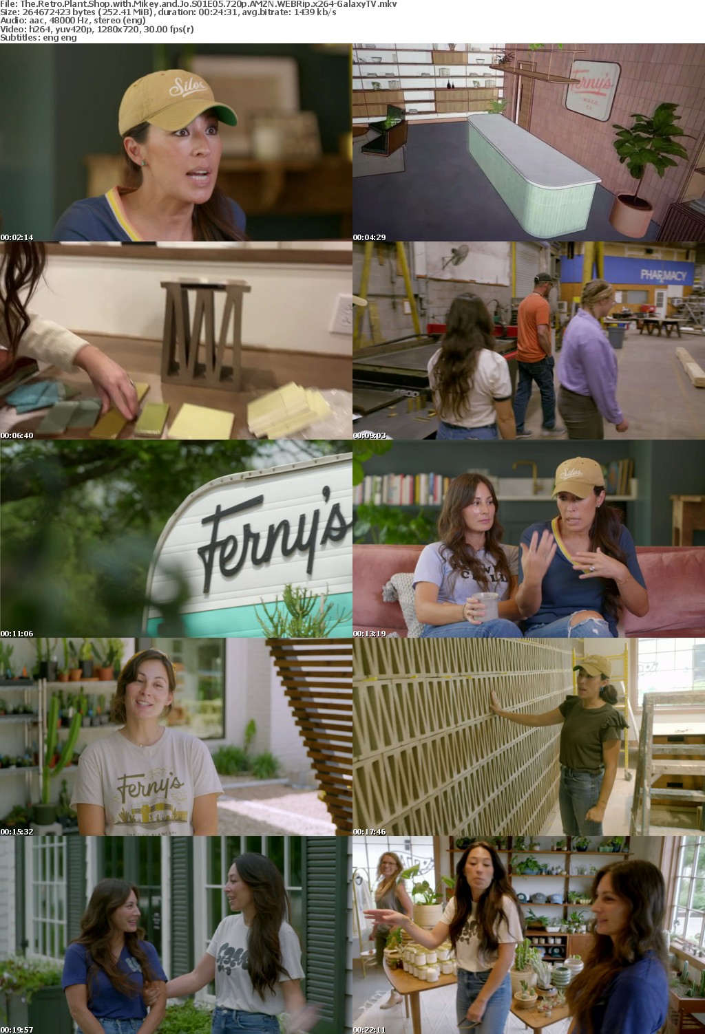 The Retro Plant Shop with Mikey and Jo S01 COMPLETE 720p AMZN WEBRip x264-GalaxyTV