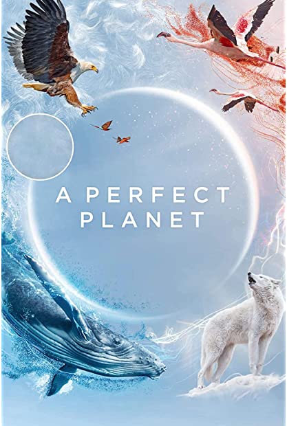 A Perfect Planet S01 BDRip x265-ION265