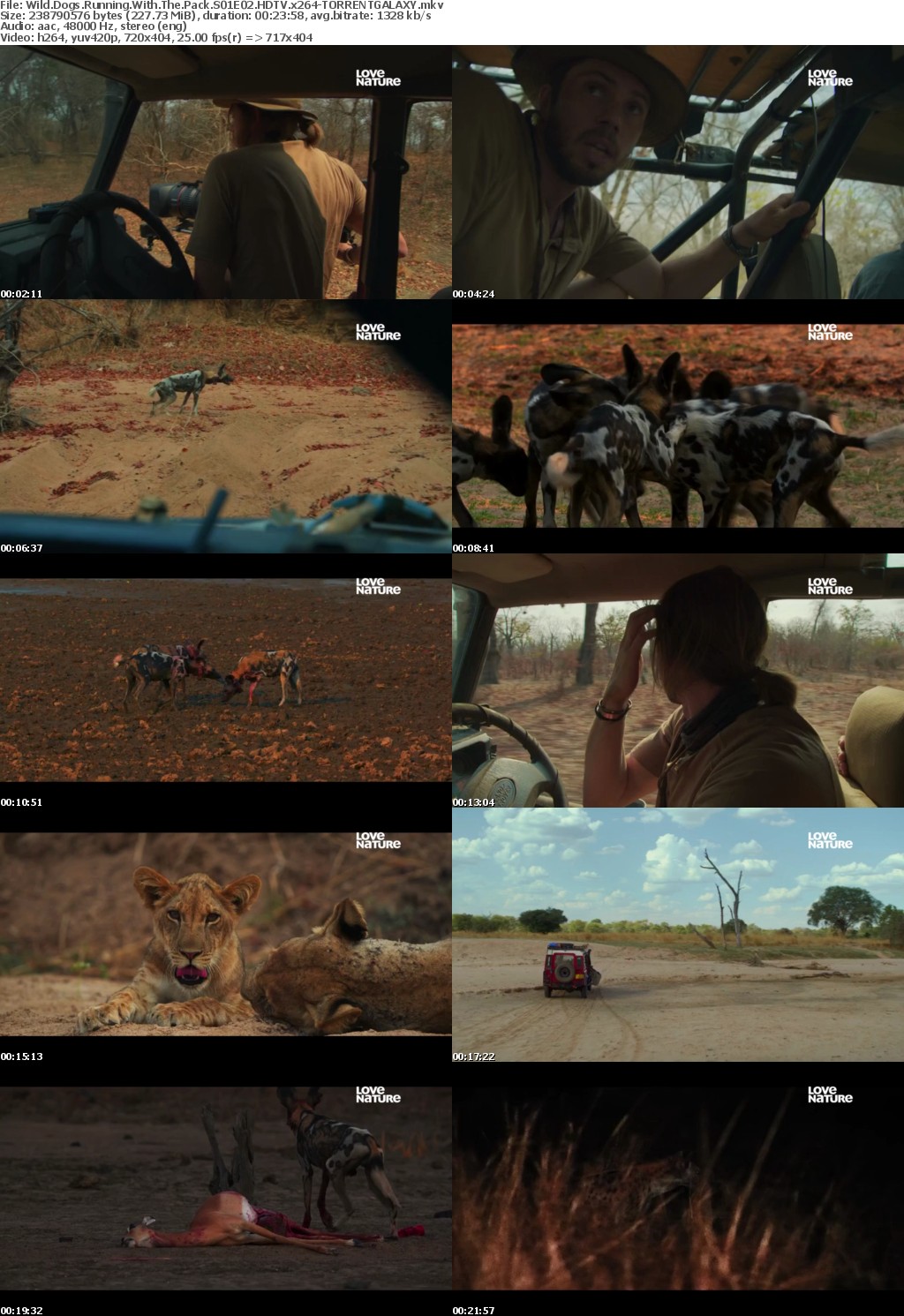Wild Dogs Running With The Pack S01E02 HDTV x264-GALAXY
