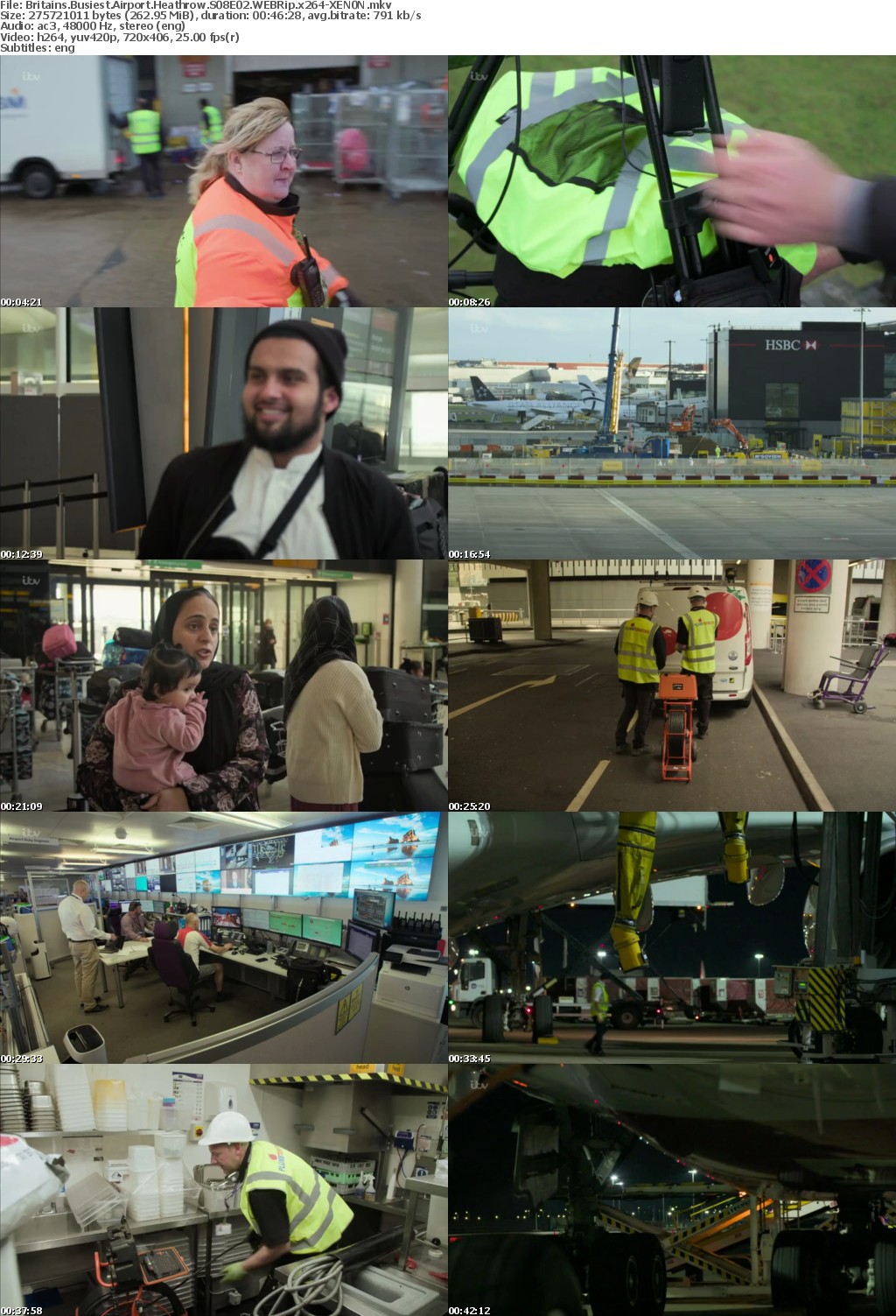 Britains Busiest Airport Heathrow S08E02 WEBRip x264-XEN0N