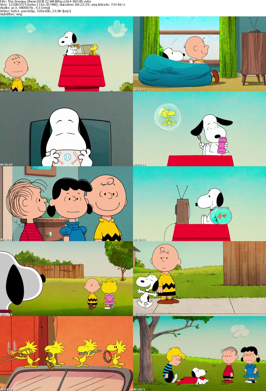The Snoopy Show S02E12 WEBRip x264-XEN0N