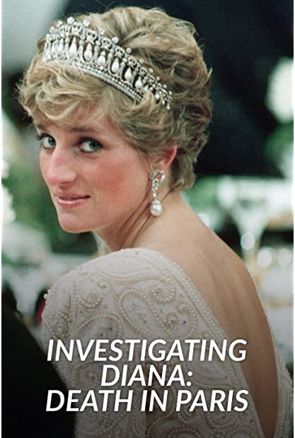 The Diana Investigations S01E01 WEBRip x264-XEN0N