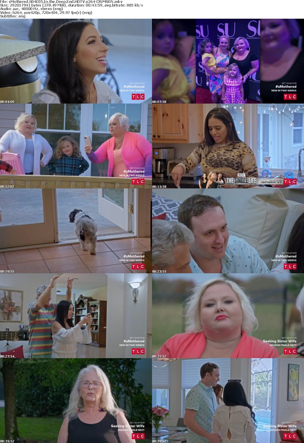 sMothered S04E05 In the Deep End HDTV x264-CRiMSON