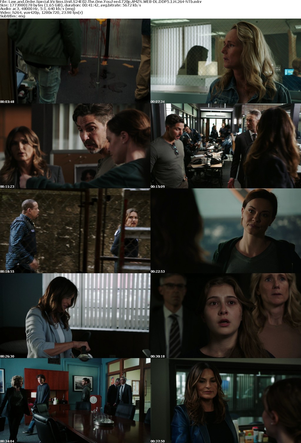 Law and Order SVU S24E02 The One You Feed 720p AMZN WEBRip DDP5 1 x264-NTb