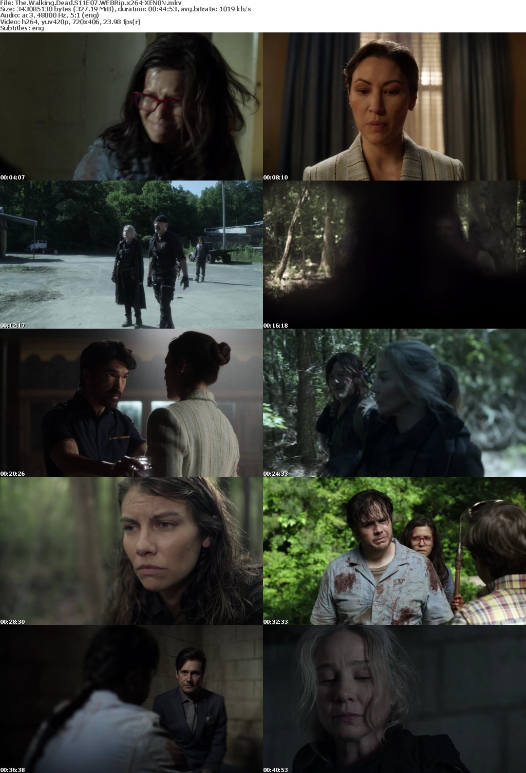 The Walking Dead S11E07 WEBRip x264-XEN0N