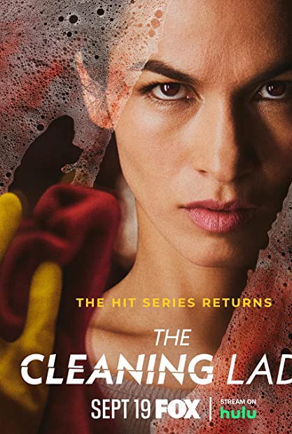 The Cleaning Lady S02E09 720p WEB x265-MiNX