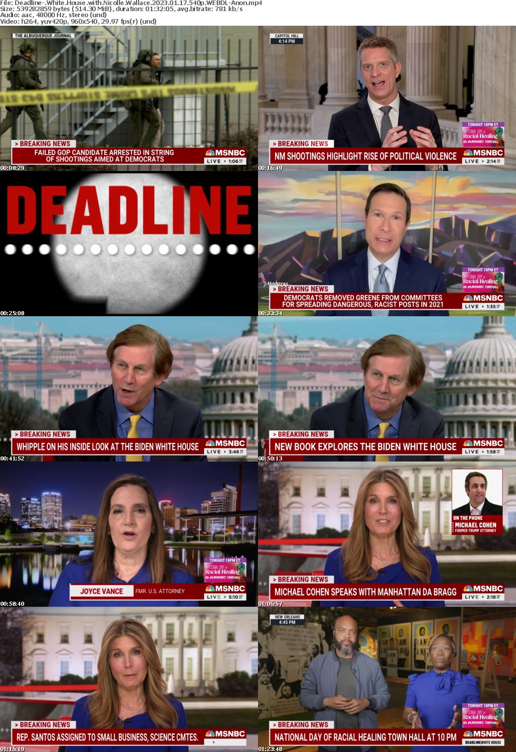 Deadline- White House with Nicolle Wallace 2023 01 17 540p WEBDL-Anon