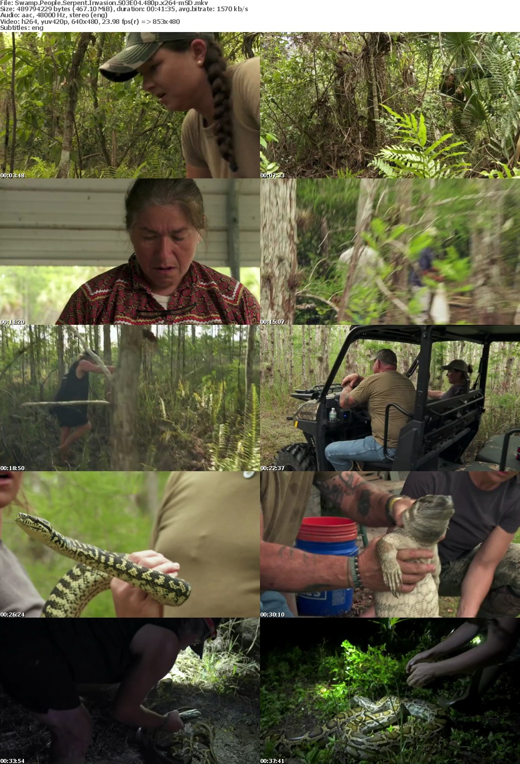 Swamp People Serpent Invasion S03E04 480p x264-mSD