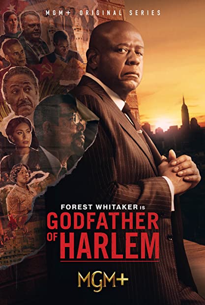 Godfather Of Harlem S03E03 XviD-AFG