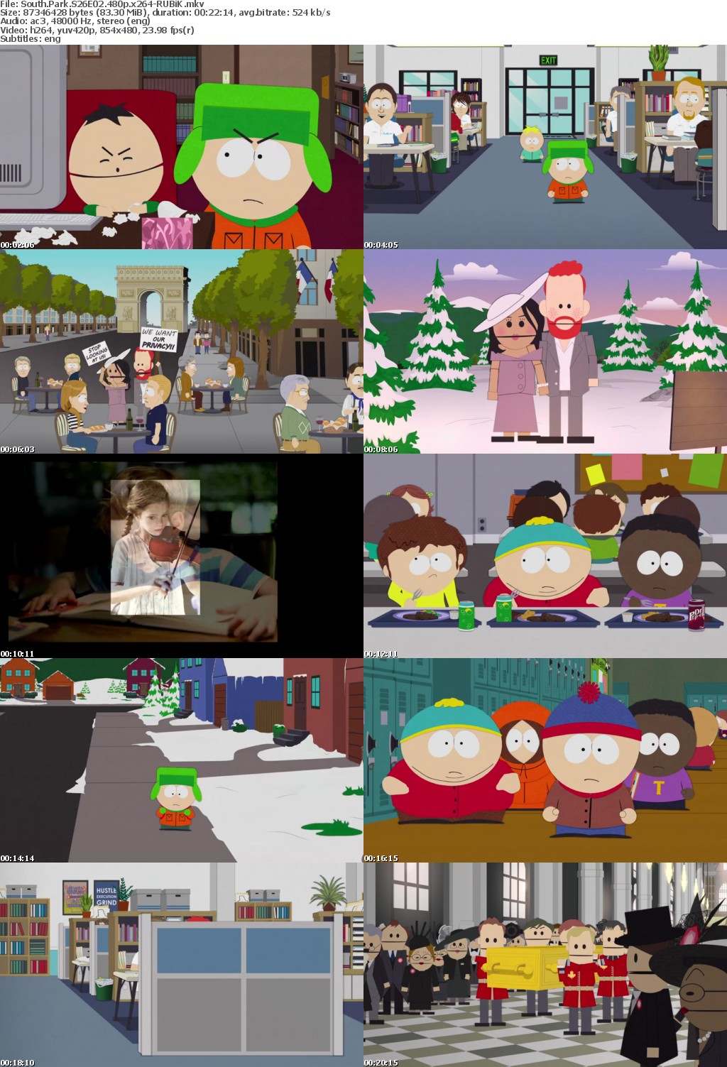 South Park S26E02 480p x264-RUBiK