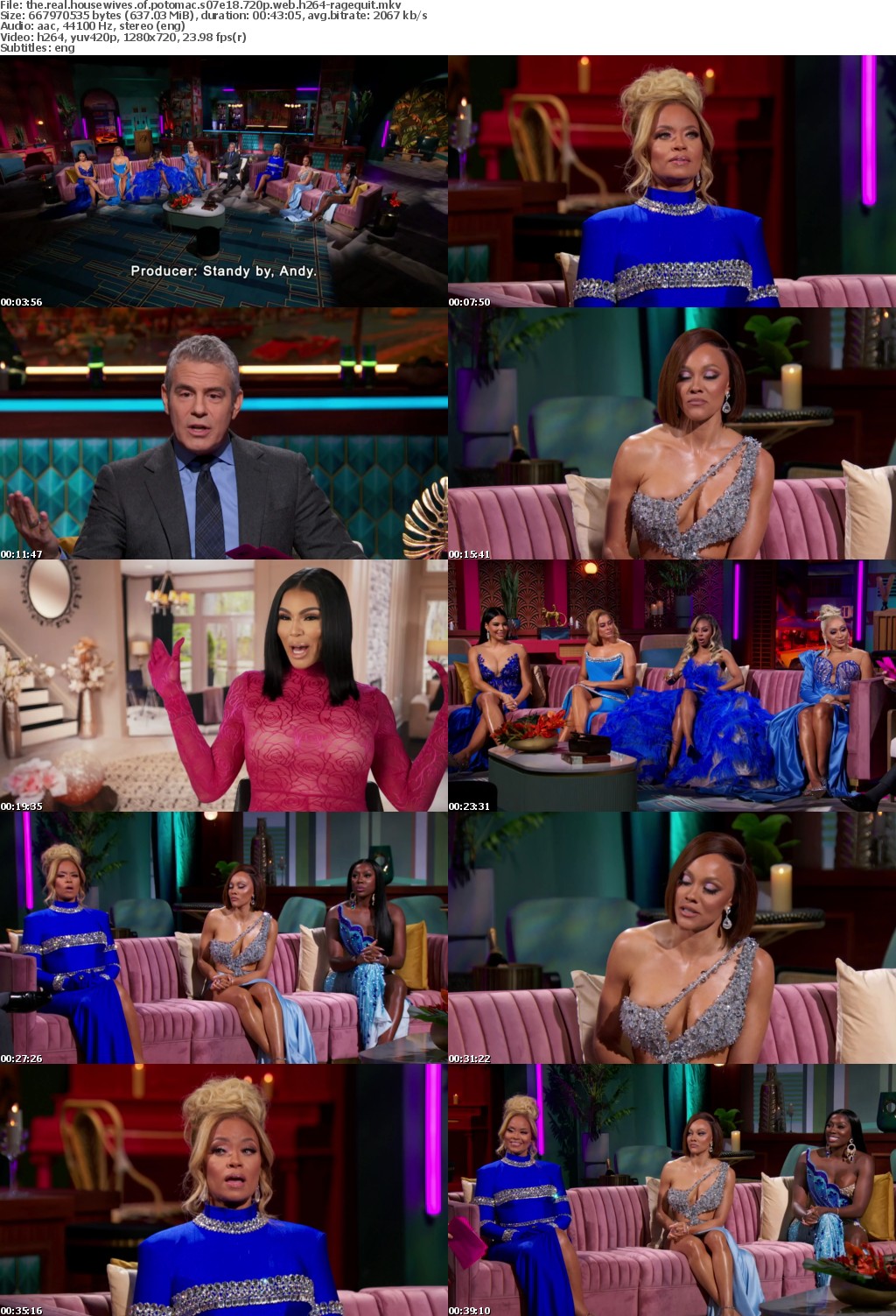 The Real Housewives of Potomac S07E18 720p WEB H264-RAGEQUIT