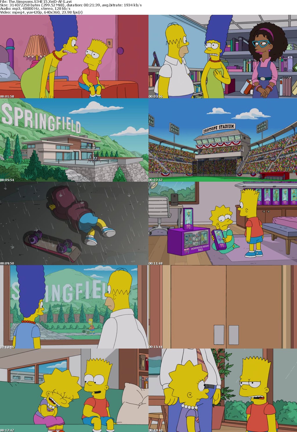 The Simpsons S34E15 XviD-AFG