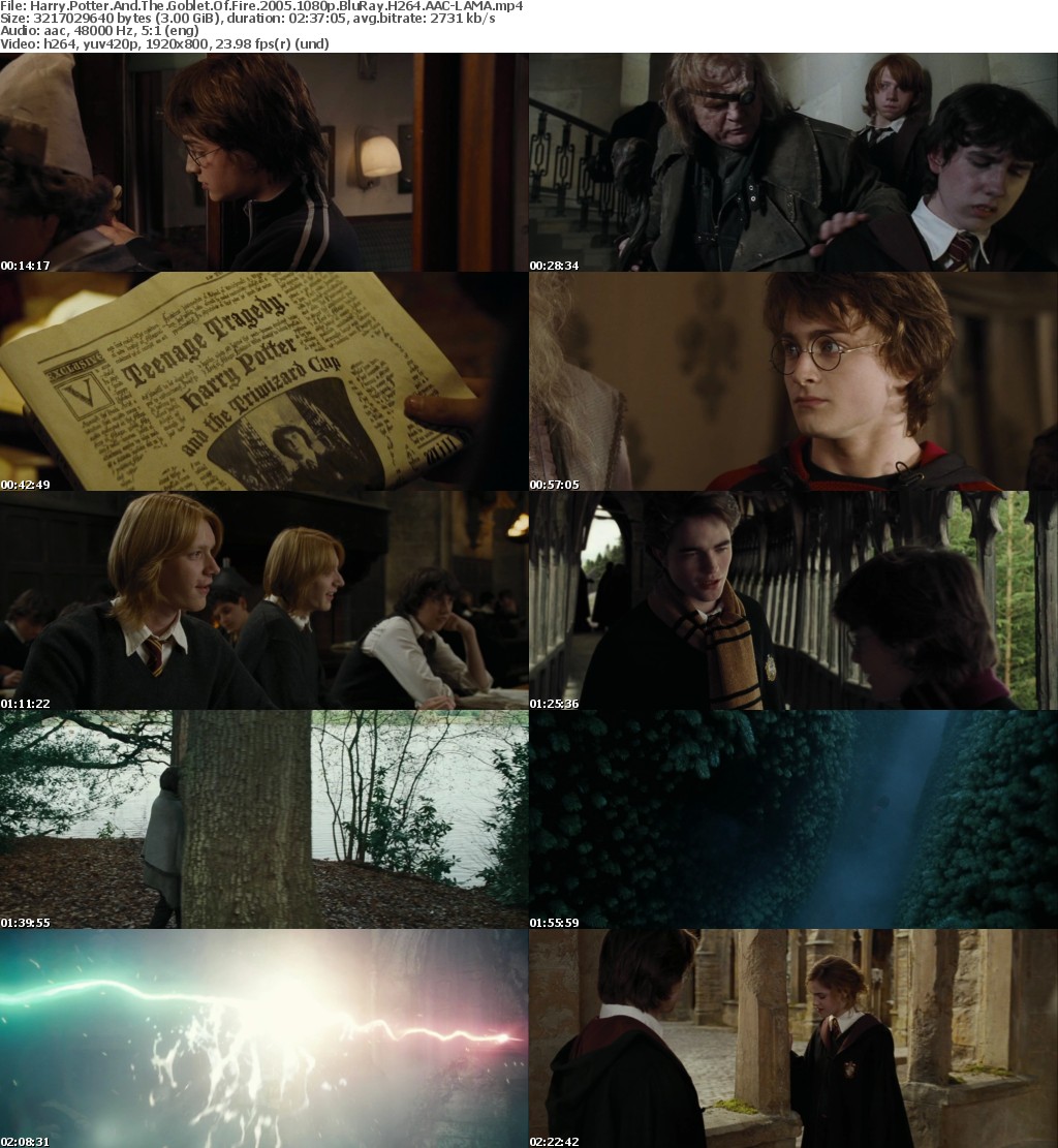 Harry Potter And The Goblet Of Fire 2005 1080p BluRay H264 AAC-RARBG