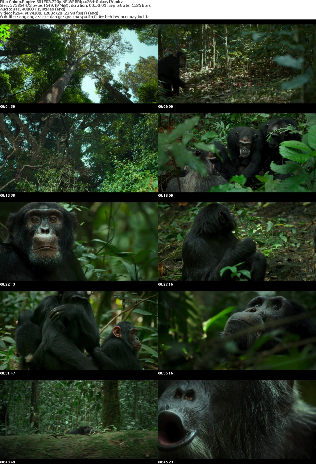 Chimp Empire S01 COMPLETE 720p NF WEBRip x264-GalaxyTV