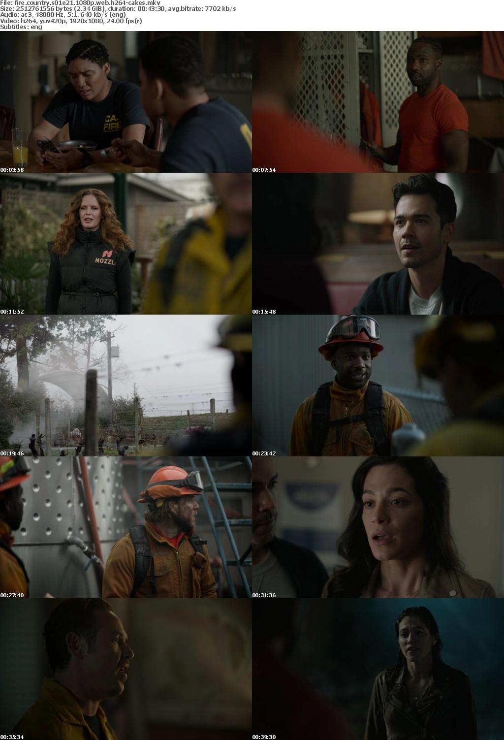 Fire Country S01E21 1080p WEB H264-CAKES