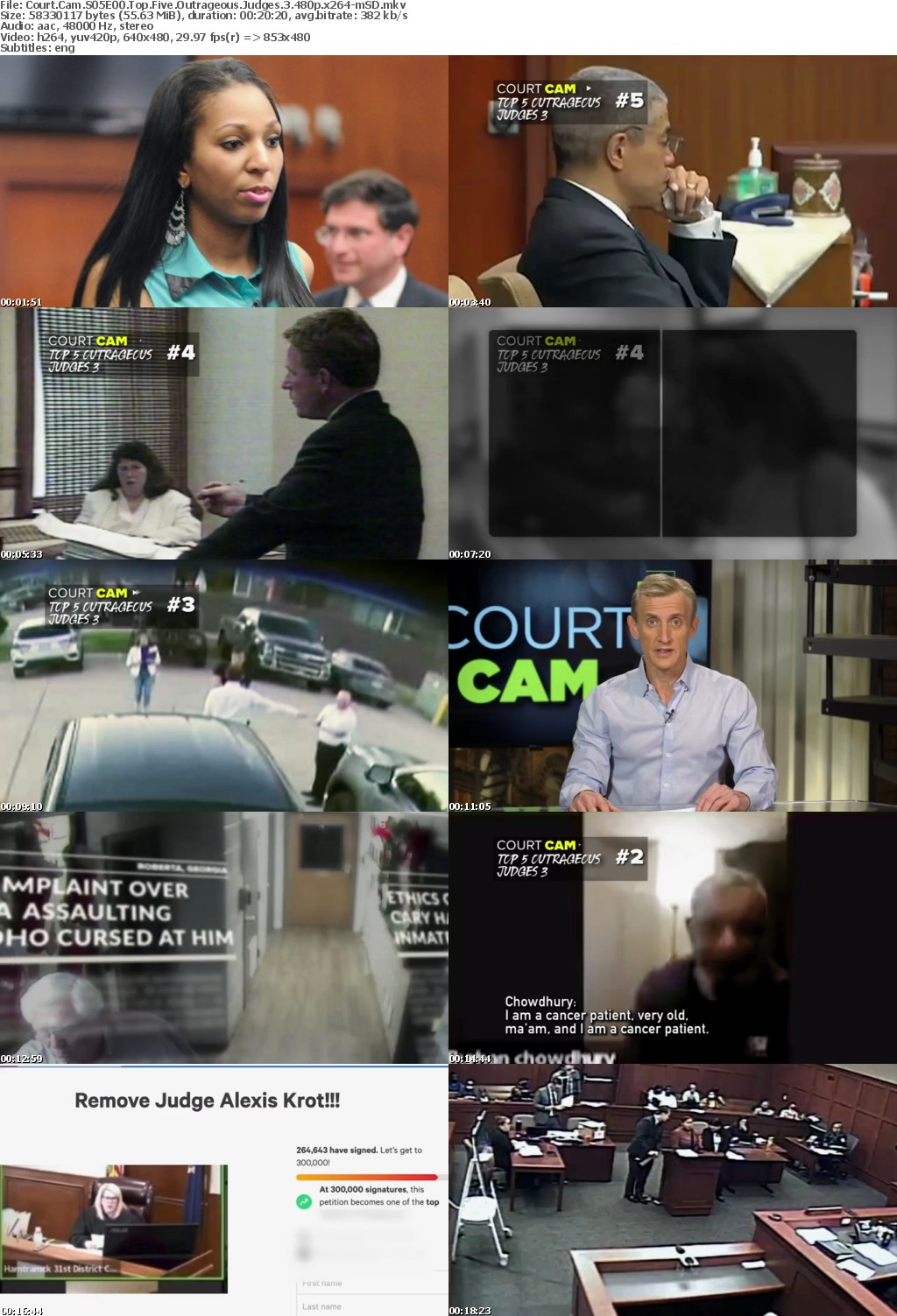 Court Cam S05E00 Top Five Outrageous Judges 3 480p x264-mSD