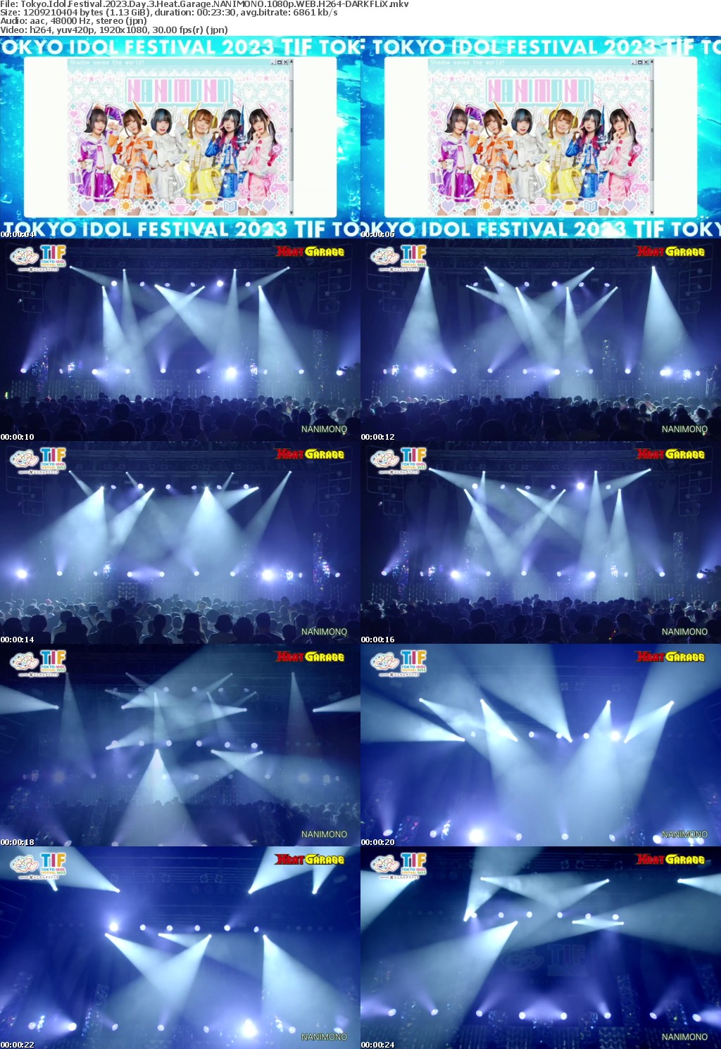 Tokyo Idol Festival 2023 Day 3 Heat Garage NANIMONO 1080p WEB H264-DARKFLiX
