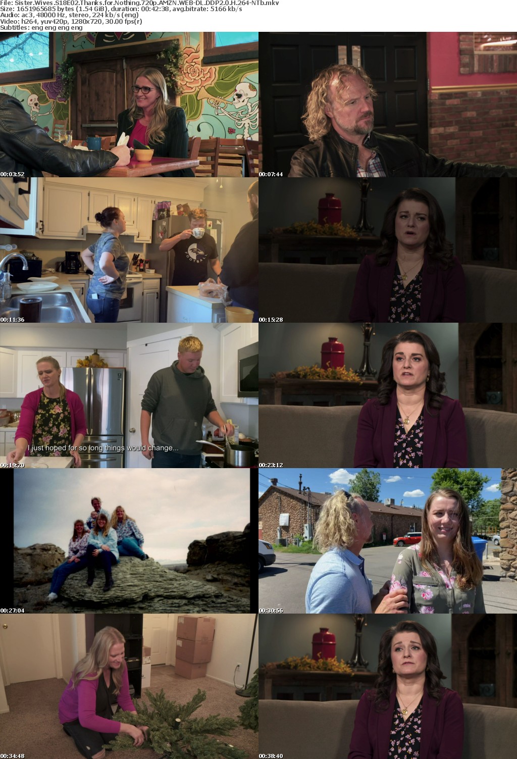 Sister Wives S18E02 Thanks for Nothing 720p AMZN WEB-DL DDP2 0 H 264-NTb