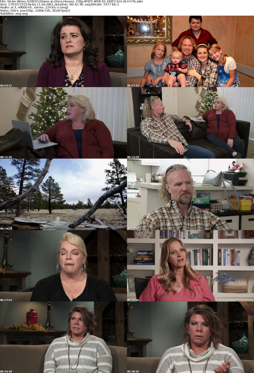 Sister Wives S18E03 Stones in Glass Houses 720p AMZN WEB-DL DDP2 0 H 264-NTb