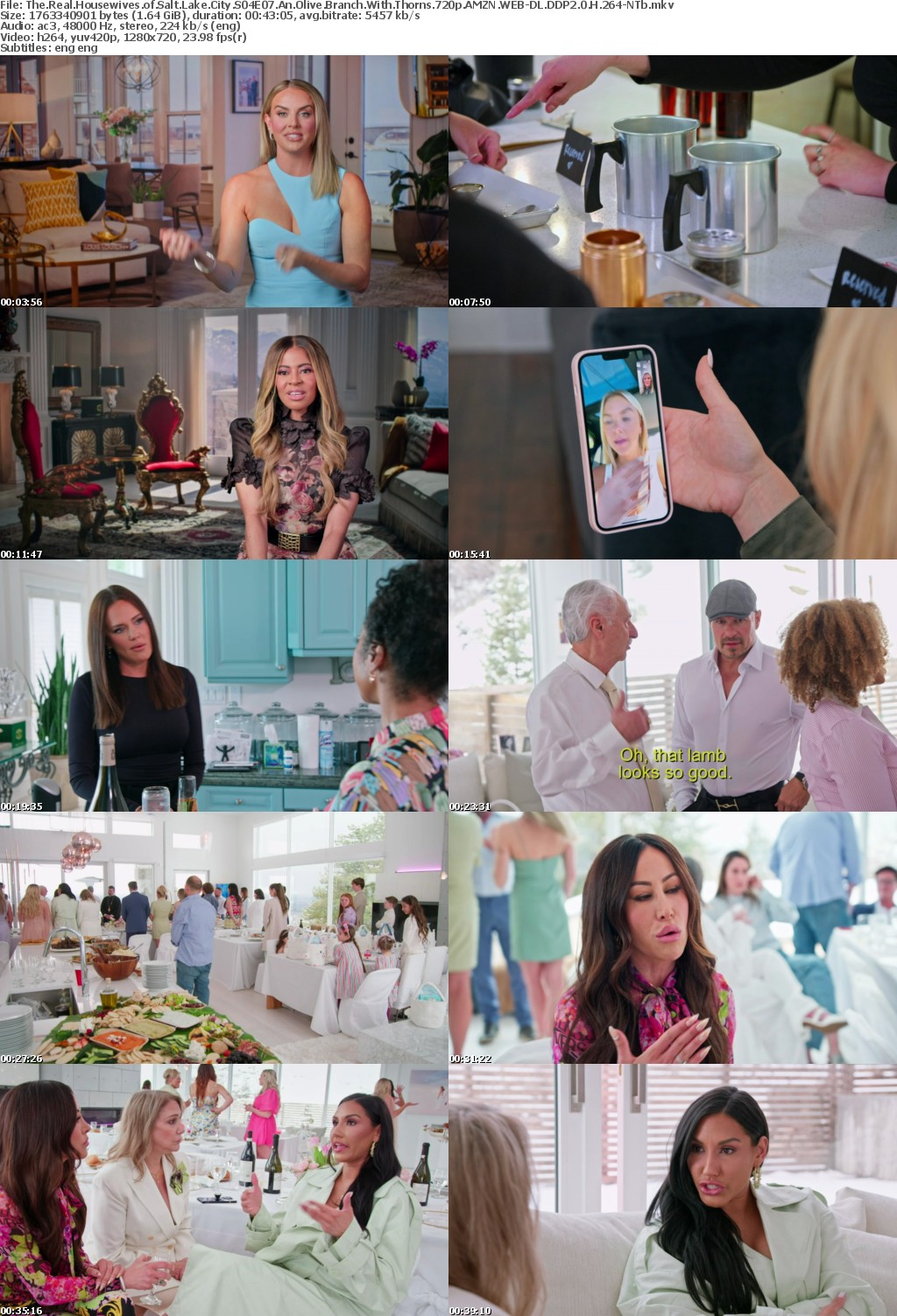 The Real Housewives of Salt Lake City S04E07 An Olive Branch With Thorns 720p AMZN WEB-DL DDP2 0 H 264-NTb