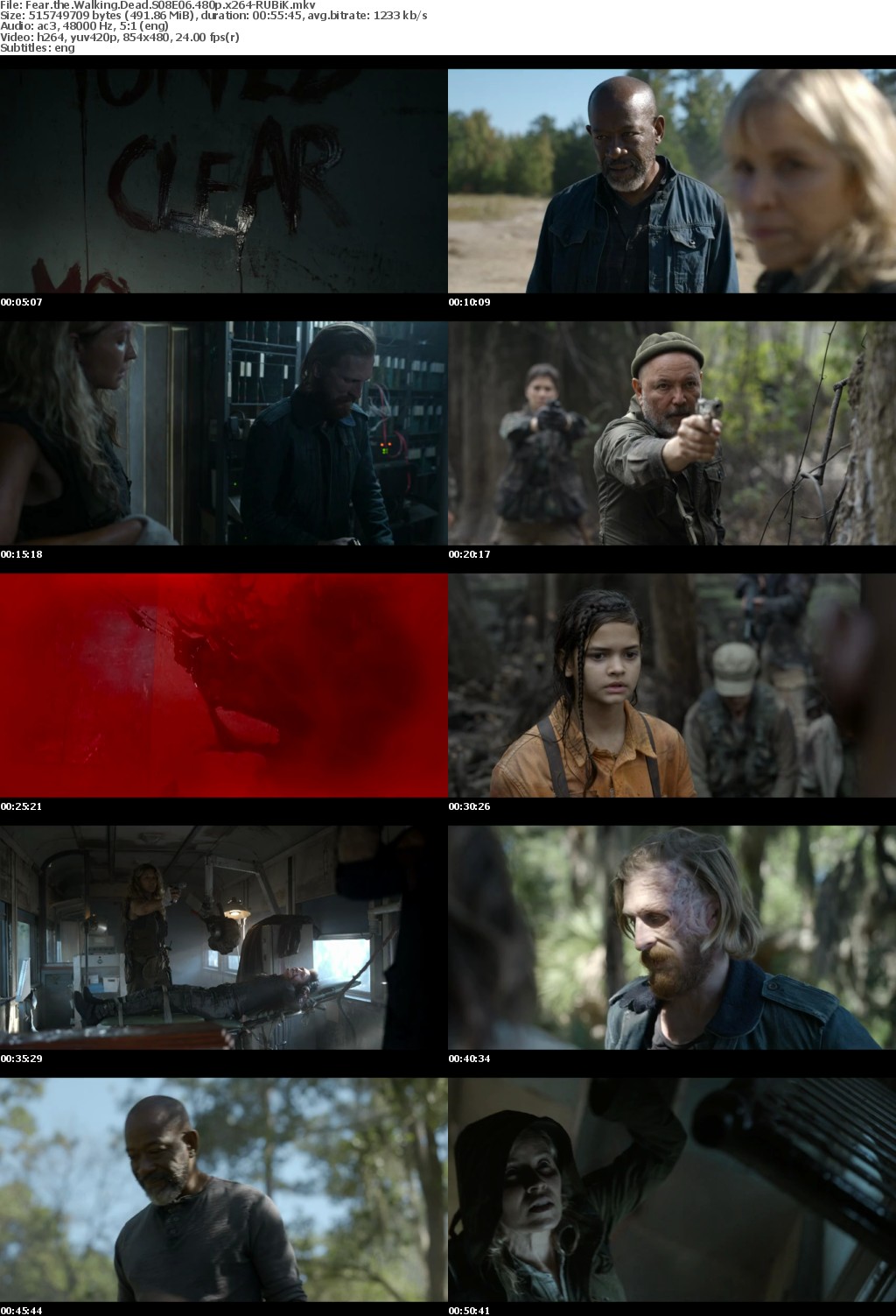 Fear the Walking Dead S08 480p x264-RUBiK