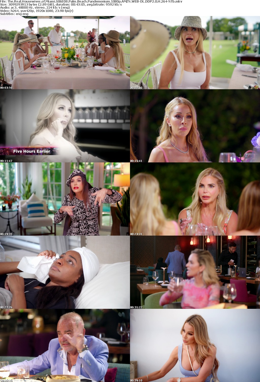 The Real Housewives of Miami S06E08 Palm Beach Pandemonium 1080p AMZN WEB-DL DDP2 0 H 264-NTb
