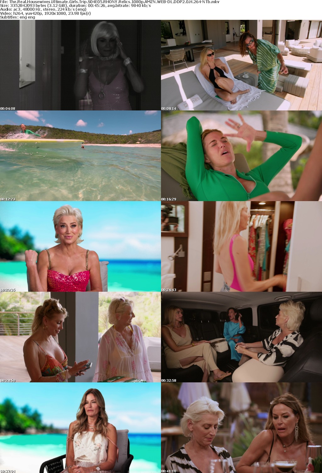 The Real Housewives Ultimate Girls Trip S04E05 RHONY Relics 1080p AMZN WEB-DL DDP2 0 H 264-NTb