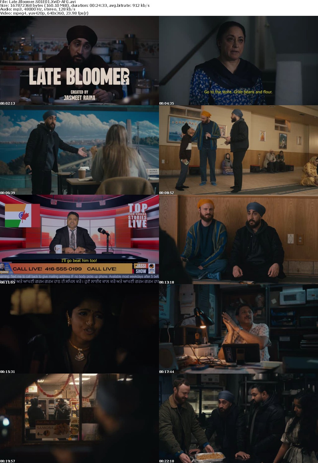 Late Bloomer S01E01 XviD-AFG